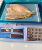  Cá Đù Sóc Fillet 1 nắng - Cà Mau 