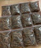  Tôm đất tươi ướp đá 