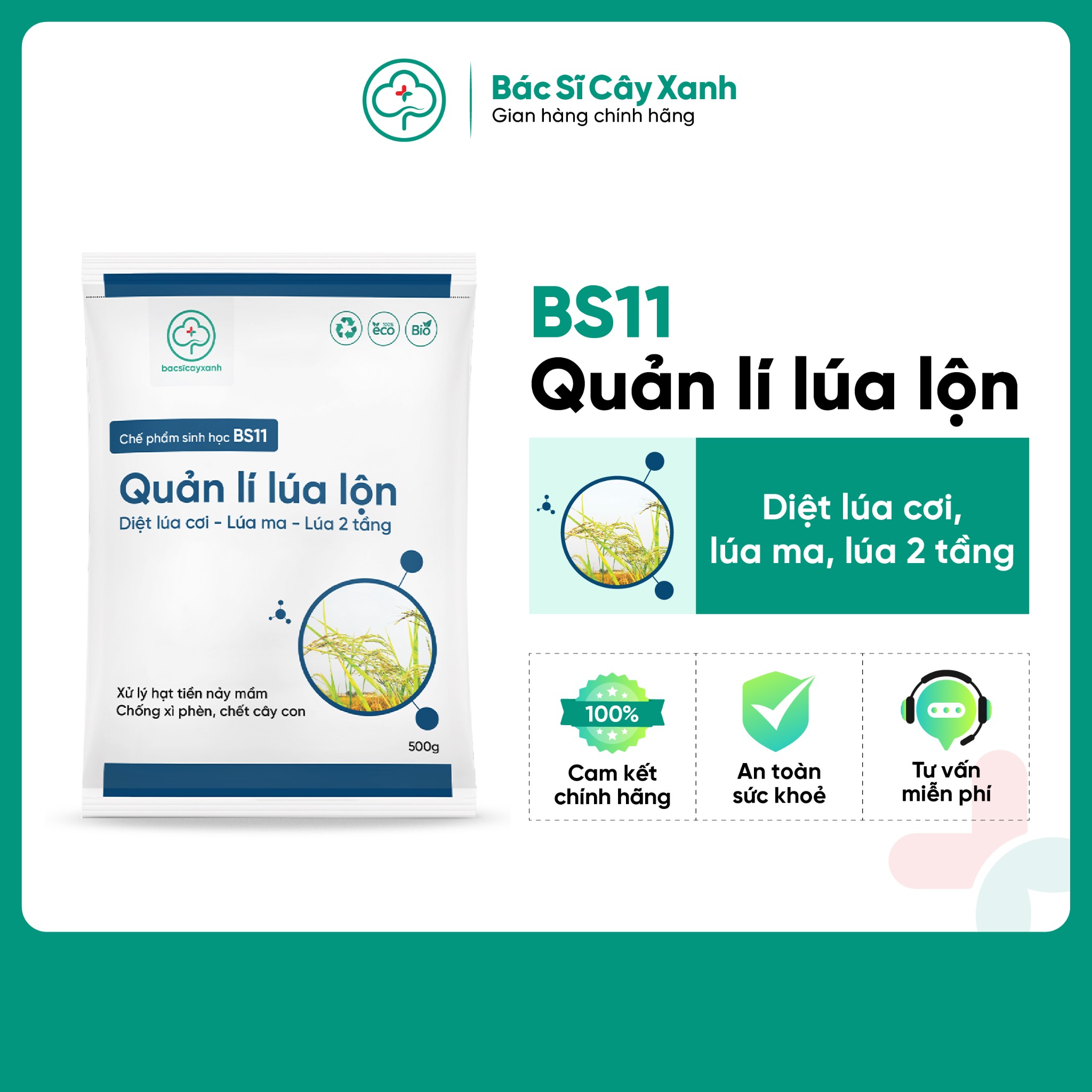 Lua Loo BS11 - Quản lý lúa lộn: Xử lý lúa ma, lúa lộn, lúa cơi, lúa hai tầng ...