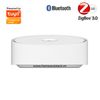 Trung Tâm Hub Zigbee 3.0 Bluetooth BLE Mesh Wifi Tuya ZBG-01 (Smart Life)