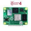 Bo Mạch Máy Tính Raspberry Pi CM4 2G Compute Module 4 (Hỗ trợ Home Assistant)