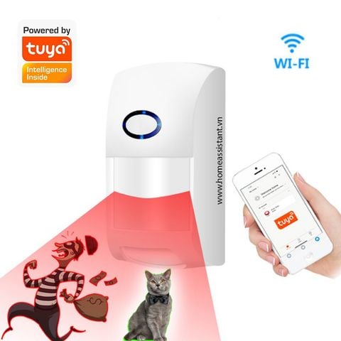  Cảm Biến Báo Động Hồng Ngoại Wifi Zigbee Tuya Chống Vật Nuôi ER01 (Smart Life) 