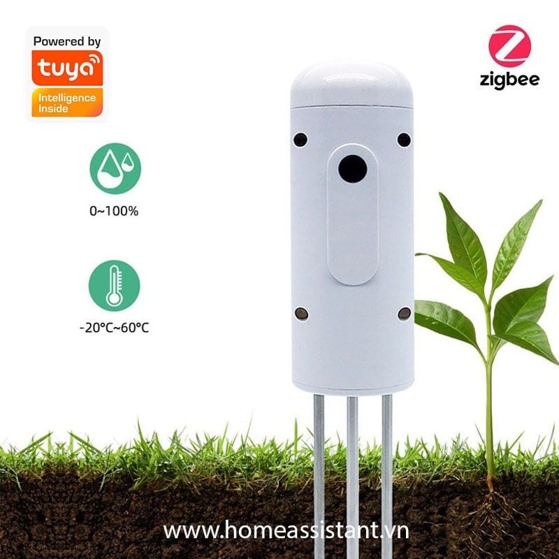 Cảm biến Nhiệt Độ Độ Ẩm Đất Zigbee Tuya ZSM02 (Hỗ trợ Home Assistant)