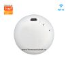 Nút Bấm Wifi Tuya Báo Động Khẩn Cấp SOS Người Già Trẻ Em WOS01