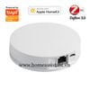 Trung Tâm HUB Zigbee Tuya Apple HomeKit Ethernet LAN ZHG01 (Hỗ trợ Home Assistant)