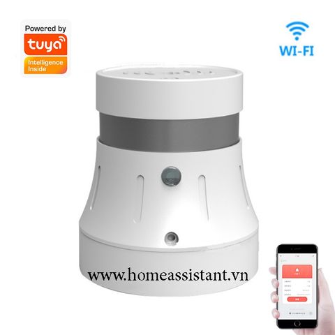  Đầu Cảm Biến Báo Khói Thuốc Báo Cháy Hỏa Hoạn Wifi Tuya W04 (Smart Life) 