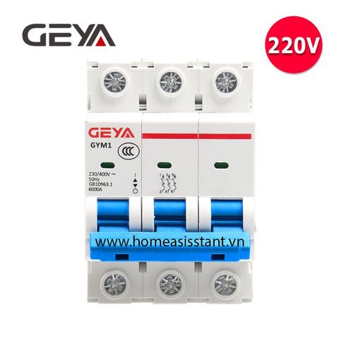  Aptomat Cầu Dao Bảo Vệ Quá Dòng Chập Mạch 3 Pha 3P DZ47 Geya GYM01 