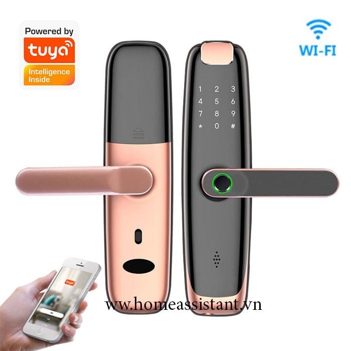 Khóa Cửa Wifi Zigbee Tuya Mở Bằng Vân Tay Mã Số Thẻ Từ DL01 (Tiếng Việt)