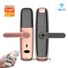 Khóa Cửa Wifi Zigbee Tuya Mở Bằng Vân Tay Mã Số Thẻ Từ DL01 (Tiếng Việt)