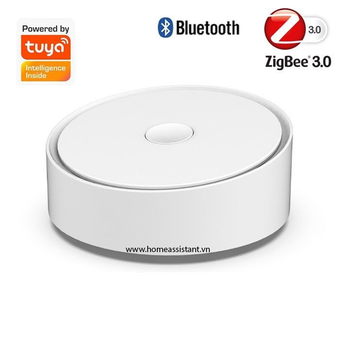 Trung Tâm Hub Zigbee 3.0 Bluetooth BLE Mesh Wifi Tuya ZBG-01 (Smart Life)