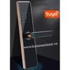 Khóa Cửa Thông Minh Wifi Zigbee Tuya DL03 (Smart Life)