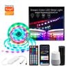 Bộ Đèn Led Dây Chạy 10M Wifi Tuya Đổi Màu RGB nháy theo nhạc HUE-04 (Smart Life)