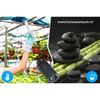Công Tắc Điều Khiển Nhiệt Độ Độ Ẩm Nhà Yến HT02