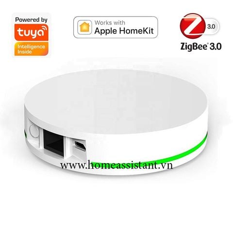 Trung Tâm HUB Zigbee Tuya Apple HomeKit Ethernet LAN ZHG01 tìm hiểu thêm!