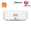 Trung Tâm Hub Zigbee 3.0 Bluetooth BLE Mesh Wifi Tuya ZBG-01 (Smart Life)