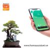 Cảm biến Nhiệt Độ Độ Ẩm Đất Zigbee Tuya ZSM02 (Hỗ trợ Home Assistant)