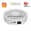 Trung tâm Zigbee Tuya Apple Homekit LAN HUB ZHG02 (Hỗ trợ Home Assistant) Hass