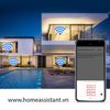 Module Công Tắc Wifi Tuya 16A Hỗ Trợ Công Tắc Cơ MC16 (Smart Life)