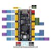 Bo Mạch Vi Điều Khiển Nhúng Raspberry Pi Pico RP2040 (Hỗ trợ Home Assistant Hass ESPHome Micro Python)