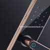 Khóa Cửa Thông Minh Wifi Zigbee Tuya DL03 (Smart Life)