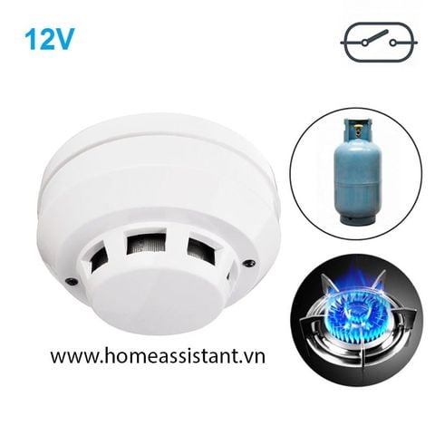  Đầu Báo GAS Cảm Biến Rò Rỉ Khí Bếp nối dây 12V DC GS02 