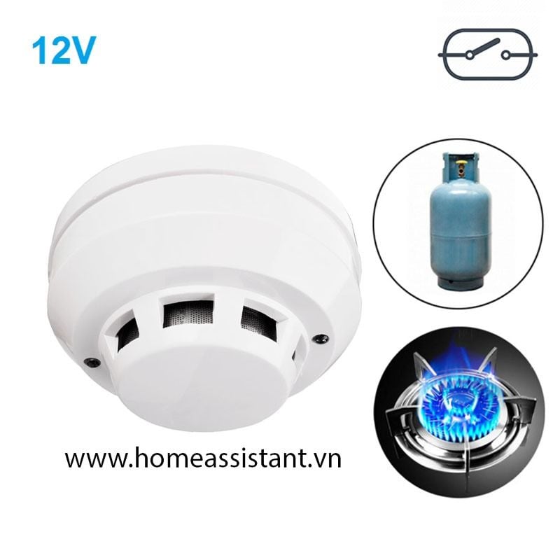 Đầu Báo GAS Cảm Biến Rò Rỉ Khí Bếp nối dây 12V DC GS02