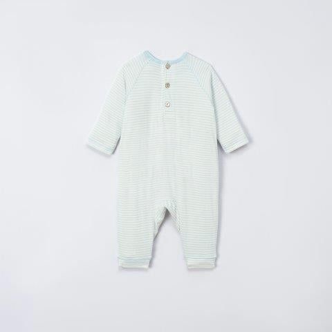  BDKT kẻ xanh in hình mặt cún 