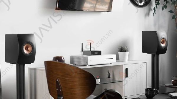 Âm ly đa vùng không tích hợp công suất pro JS-S50