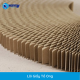  Lõi Giấy Tổ Ong 