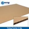  Thùng Giấy Carton 3 Lớp Sản Xuất Theo Yêu Cầu 