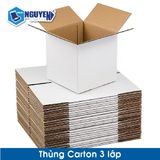 Thùng Giấy Carton 3 Lớp Sản Xuất Theo Yêu Cầu 