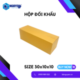  Hộp Carton Đối Khẩu - Hộp Carton Đóng Hàng - 30x10x10 