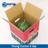  Thùng Giấy Carton 5 Lớp Sản Xuất Theo Yêu Cầu 