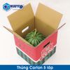  Thùng Giấy Carton 5 Lớp Sản Xuất Theo Yêu Cầu 