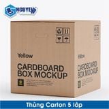  Thùng Giấy Carton 5 Lớp Sản Xuất Theo Yêu Cầu 