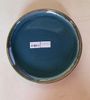 Seaweed - Round Plate 22cm - Dĩa tròn vành 22cm xanh rêu