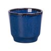 Saphir - Cup 8.5 x 8cm - Ly 8.5 x 8cm xanh viền nâu