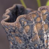  Vase 27.8cm - Bình hoa lá bạch quả 27.8cm san hô xanh 