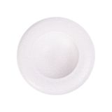  Blanche - Décor Plate 24 x 6.5cm - Khay tròn lòng lõm 24 x 6.5cm lộc phát không vệt 