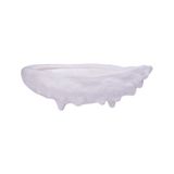  Blanche Neige - Abalone Plate 22cm - Dĩa bào ngư 22cm tuyết trắng 