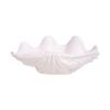  Blanche Neige - Giant Clam Shell 21cm - Sò tai tượng 21cm tuyết trắng 