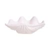  Blanche Neige - Giant Clam Shell 18cm - Sò tai tượng 18cm tuyết trắng 