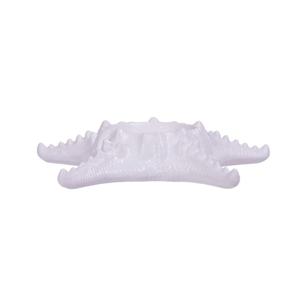 Blanche Neige - Starfish - Dĩa sao biển 23.5cm tuyết trắng – V Horeca ...