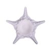 Blanche Neige - Starfish 23.5cm - Dĩa sao biển 23.5cm tuyết trắng