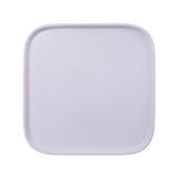  Blanche Neige - Square Flat Plate 30cm - Dĩa vuông vành đứng 30cm tuyết trắng (matte) 