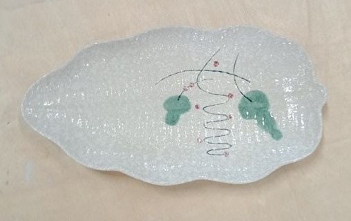  Blanche - Banana Leaf Plate 37cm - Dĩa lá chuối cạn 37cm phun vẽ lá 