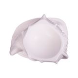  Blanche Neige - Cassis Cornuta 25 x 11cm - Dĩa trang trí kim khôi vàng 25 x 11cm tuyết trắng 