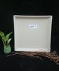 Cream - Square Plate 24cm - Dĩa vuông 24cm màu kem (matte)