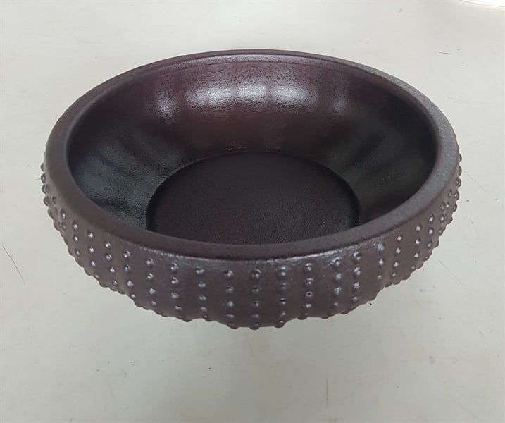  Noir - Sea Urchin 20 x 6.5cm - Tô nhum 20 x 6.5cm màu đen 
