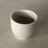 Blanche - Cup 8.7 x 8cm - Ly 8.7 x 8cm lộc phát không vệt